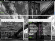  Sabayon + Gnome